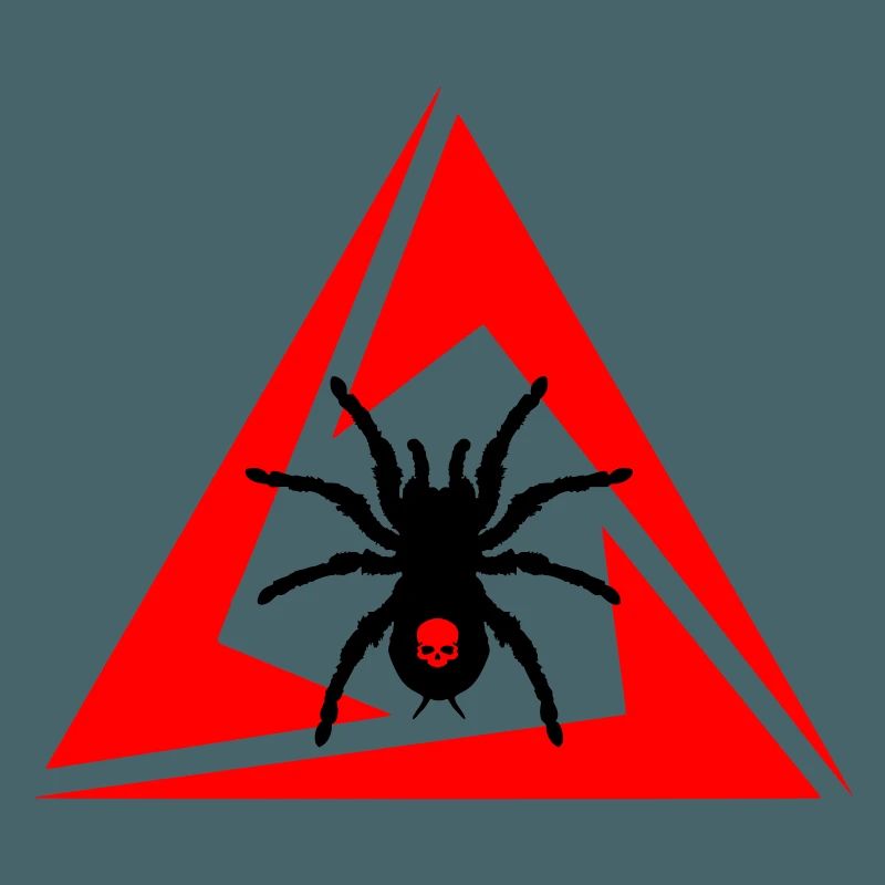 Spinne