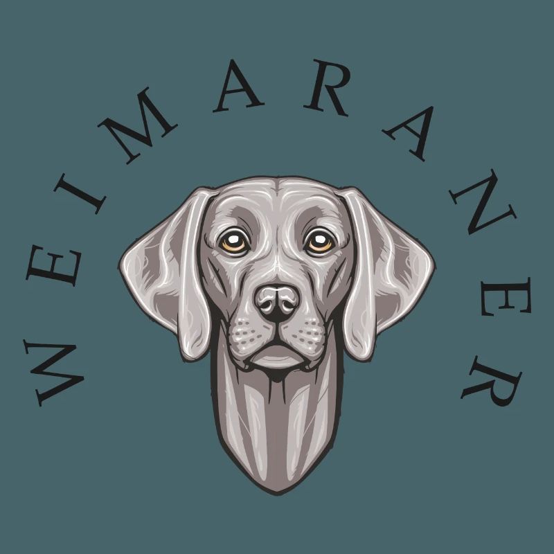 Weimaraner