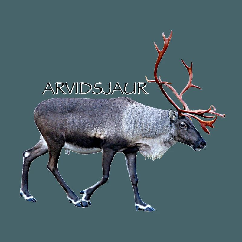 ARVIDSJAUR