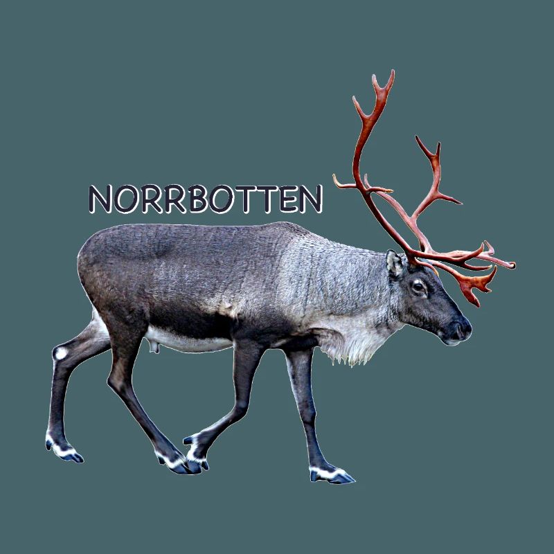 Norrbotten