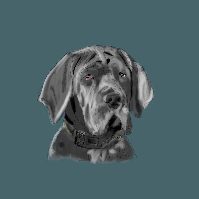 Dogge