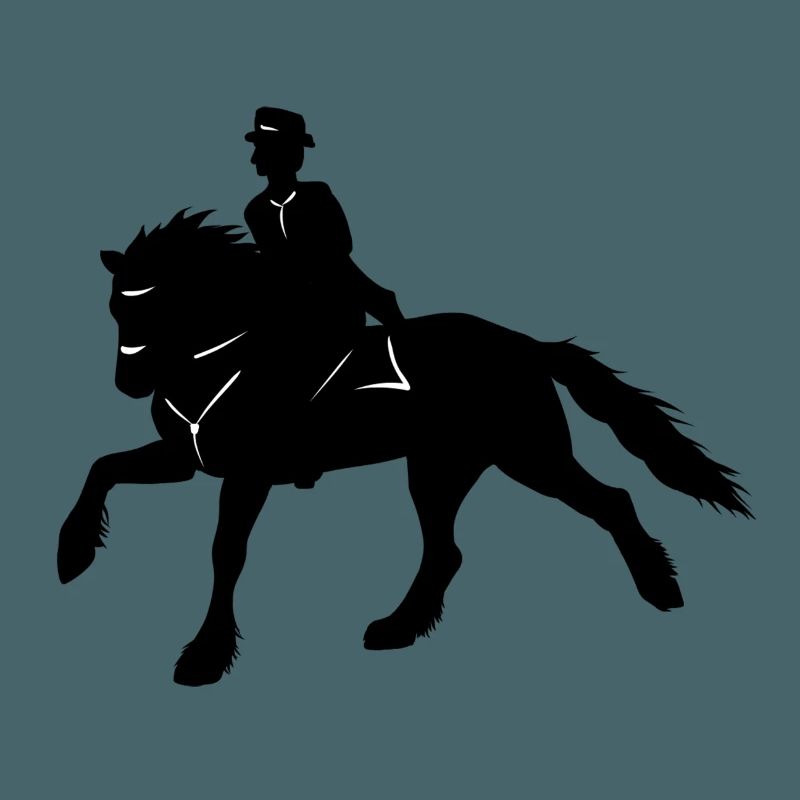 Friesen Reiter