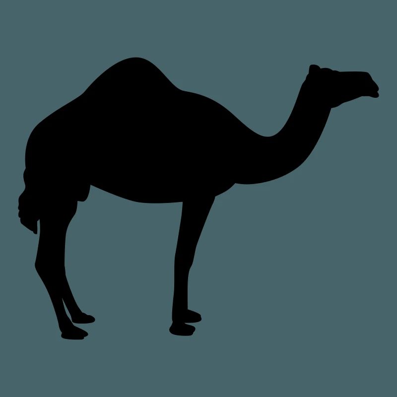 Kamel | Wüste | Dubai | Wüstenschiff
