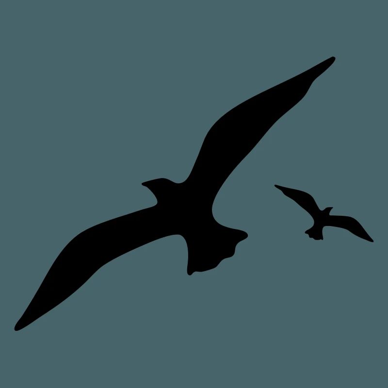 Möwe