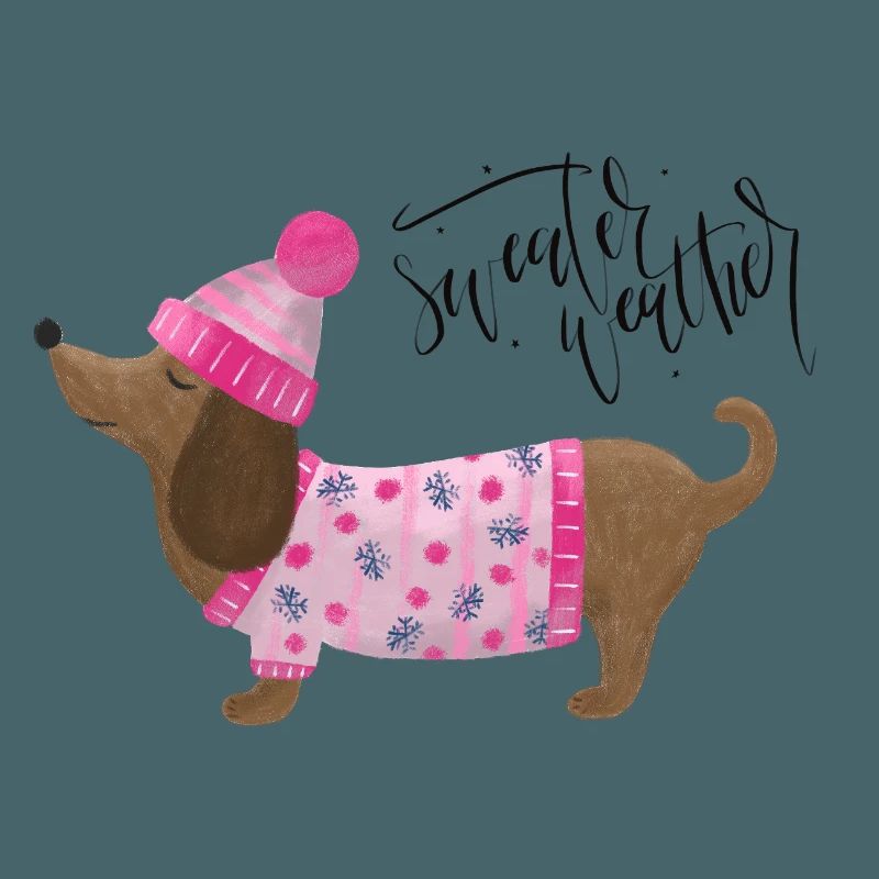 Teckel avec pull et chapeau Pull Météo rose