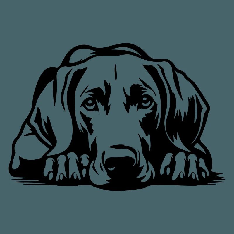 Weimaraner