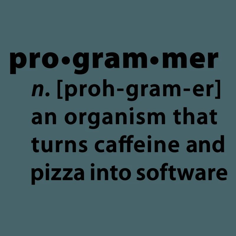Programmdefinition - die Definition Programmer