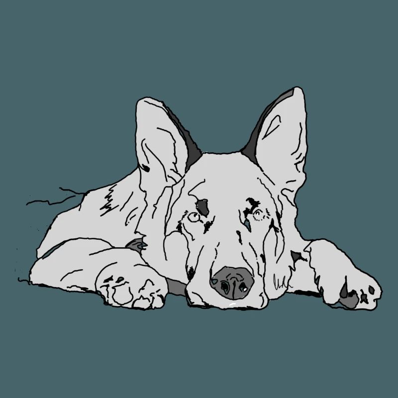 Schäferhund