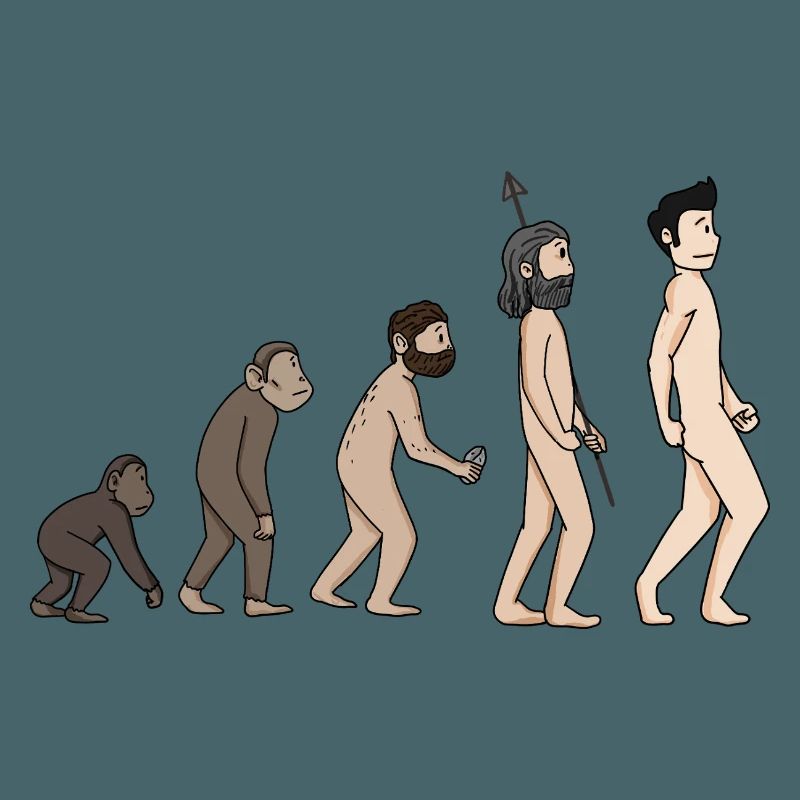 Human Development - Evolution Illustration