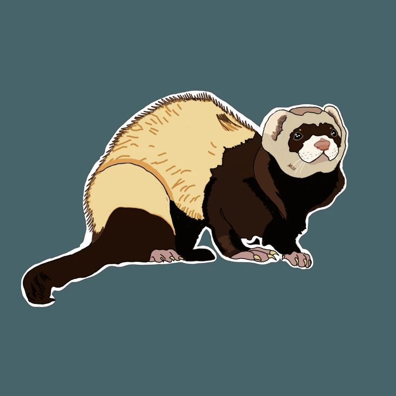 Frettchen