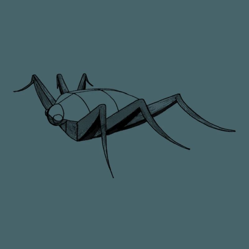 Insect bug bug drawing sketch construction