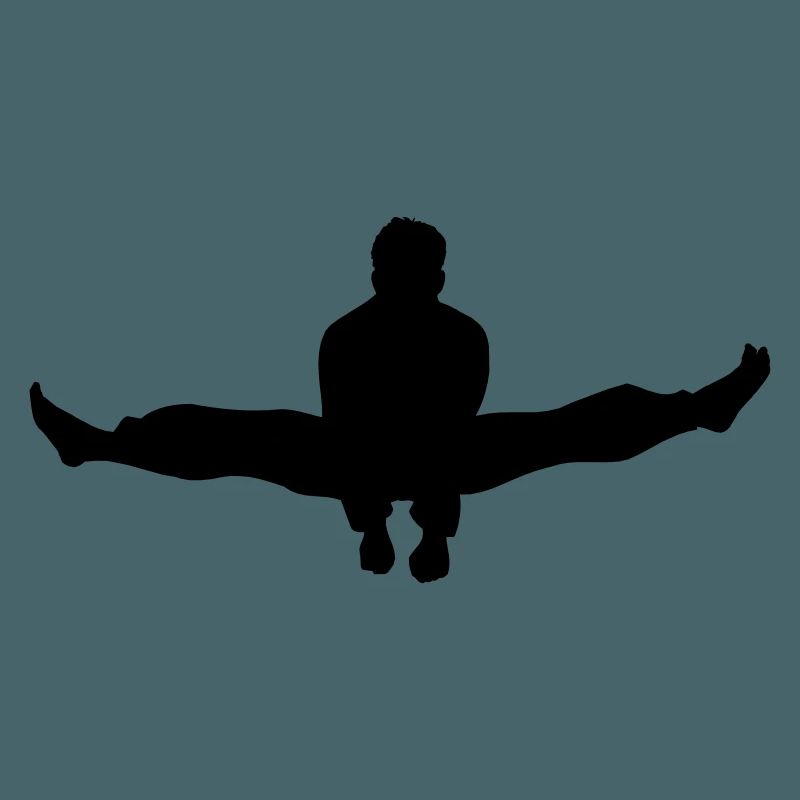 Karate oder Taekwondo Double Kick Schatten