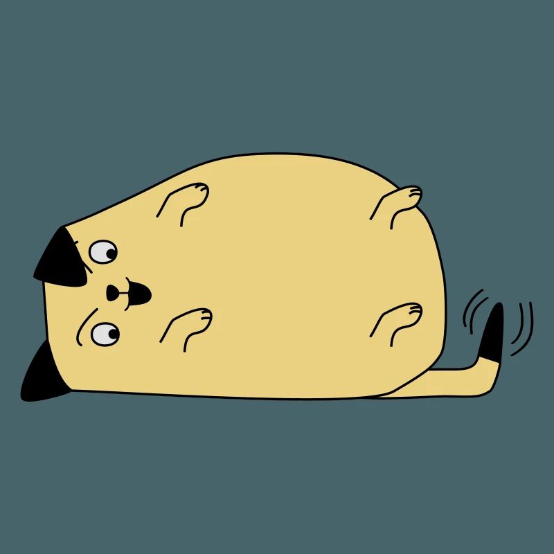 Chien regarde sa queue