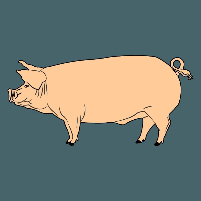 Rosa Schwein