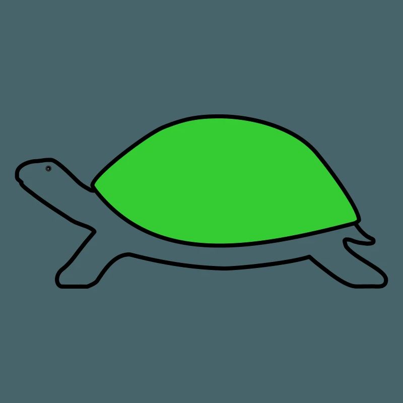 Schildkröte