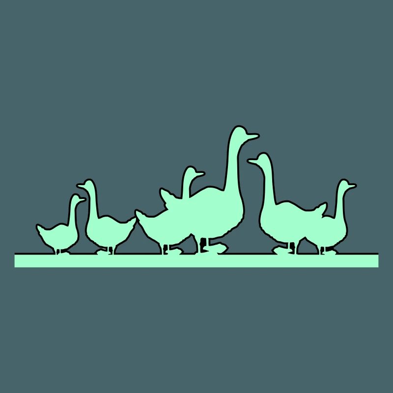 Enten Gänse