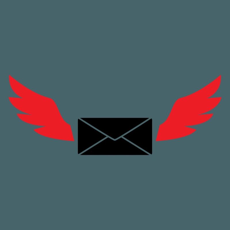 Express Mail Envelope Winged Post