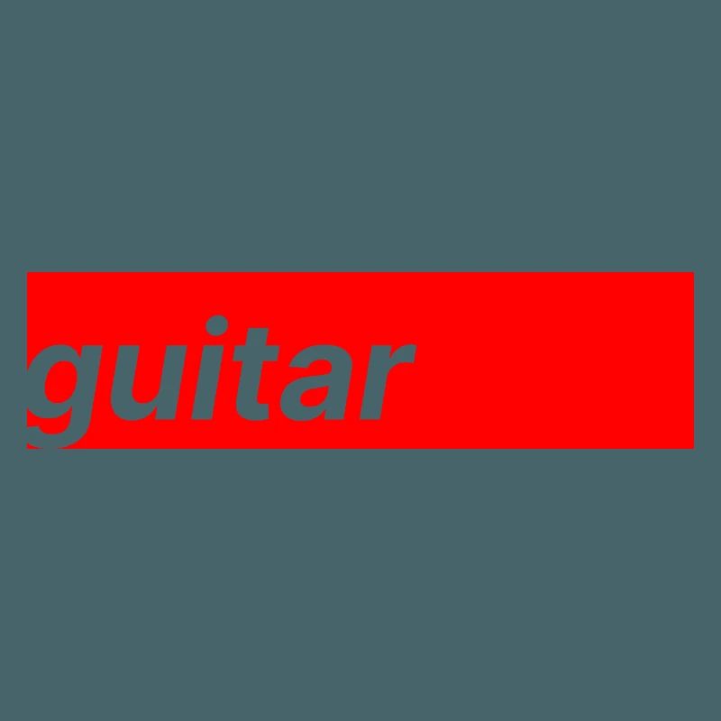 Guitar