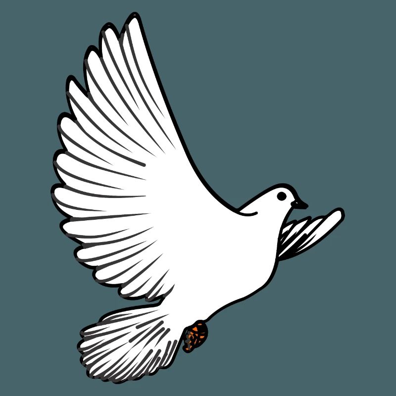 Weiße Taubenbrieftaube Ziertaube oder Friedenstaube