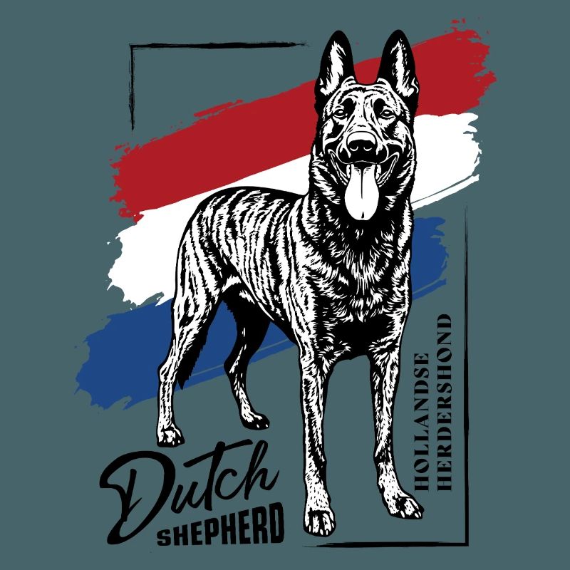 Dutch Shepherd - Dutchie 