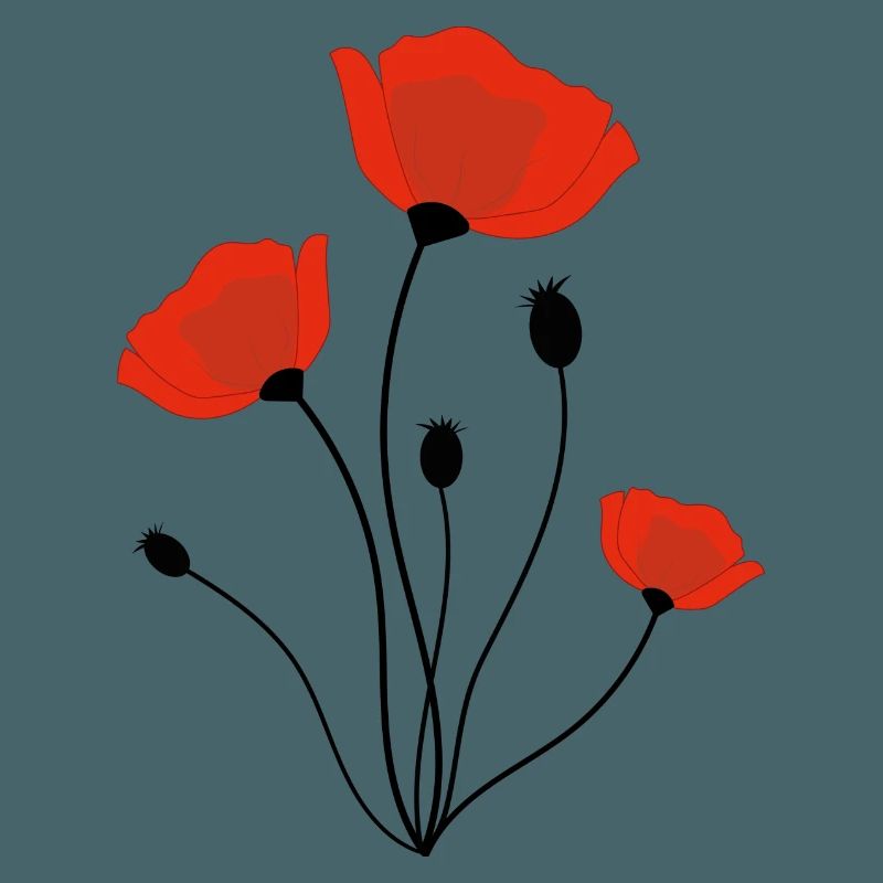 Mohnblume