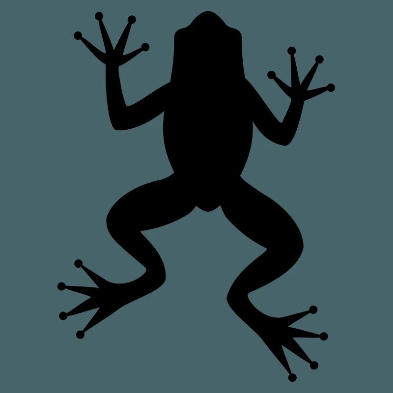 Frog toad tree frog silhouette