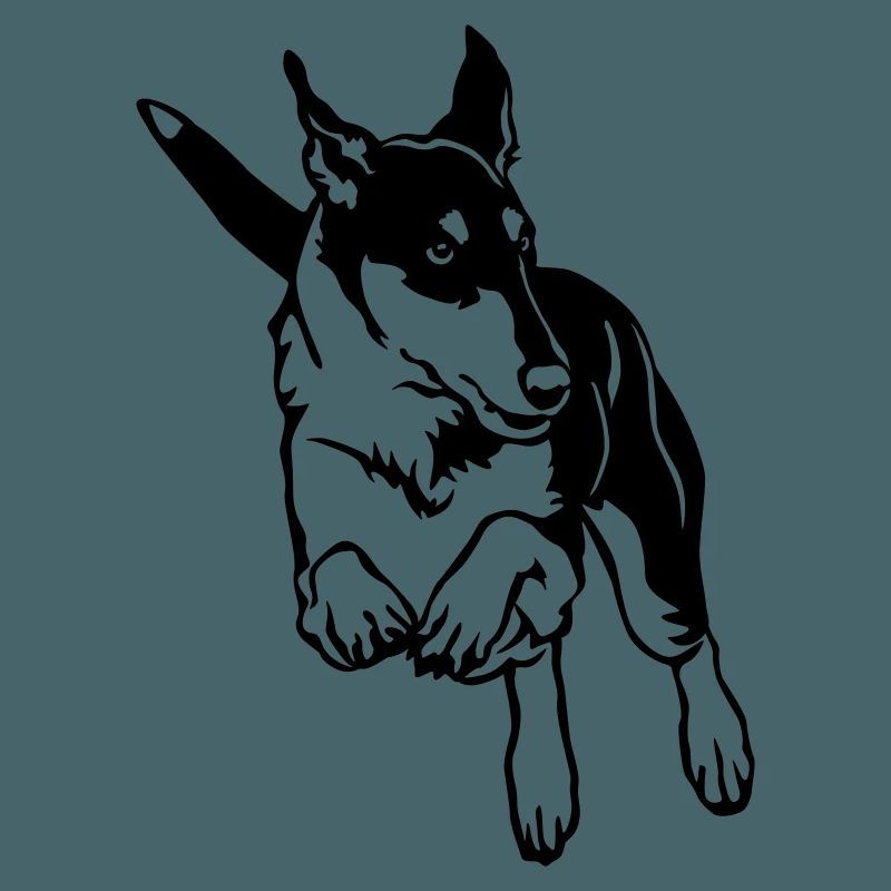 Collie