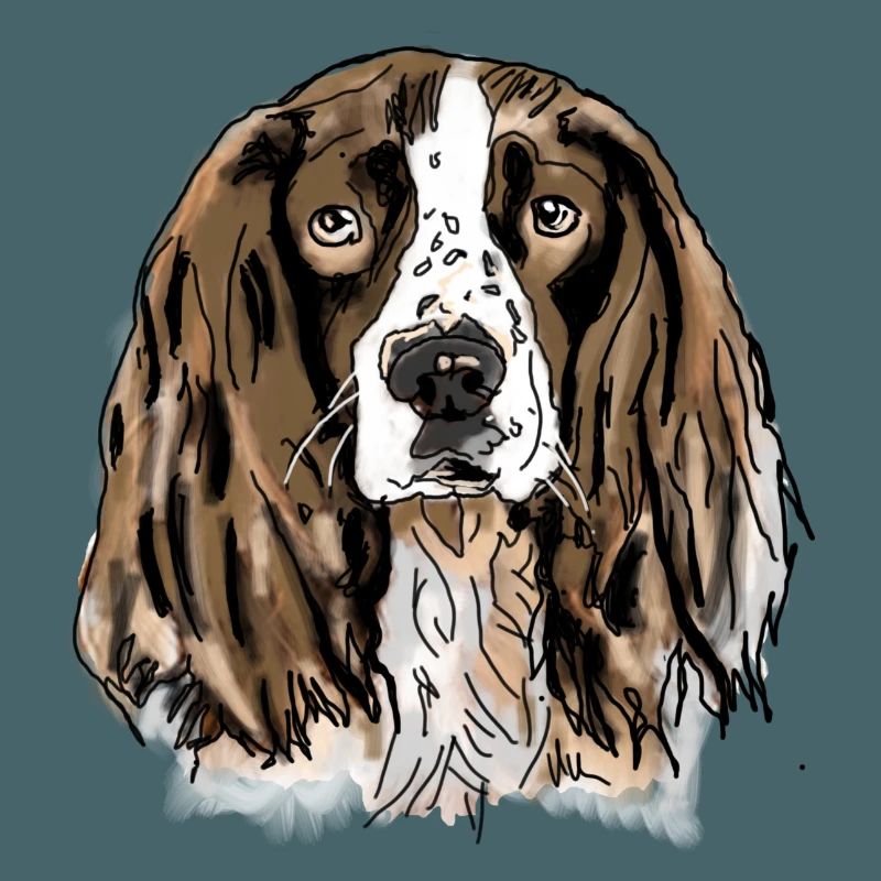 Spaniel