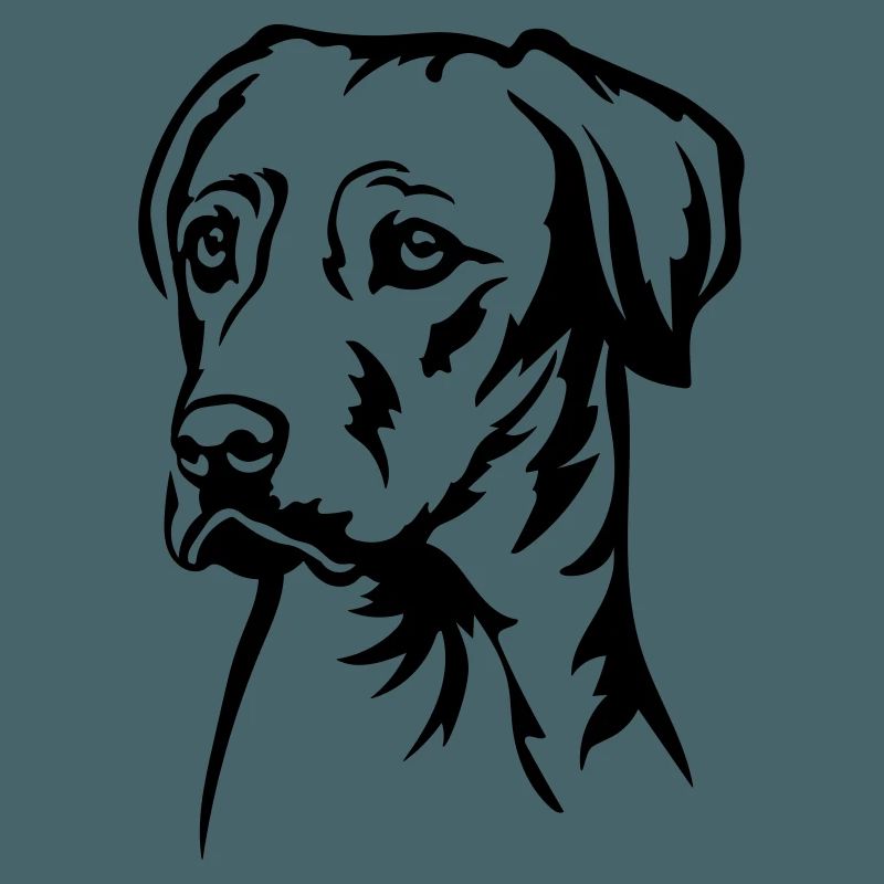 Rhodesian Ridgeback Head