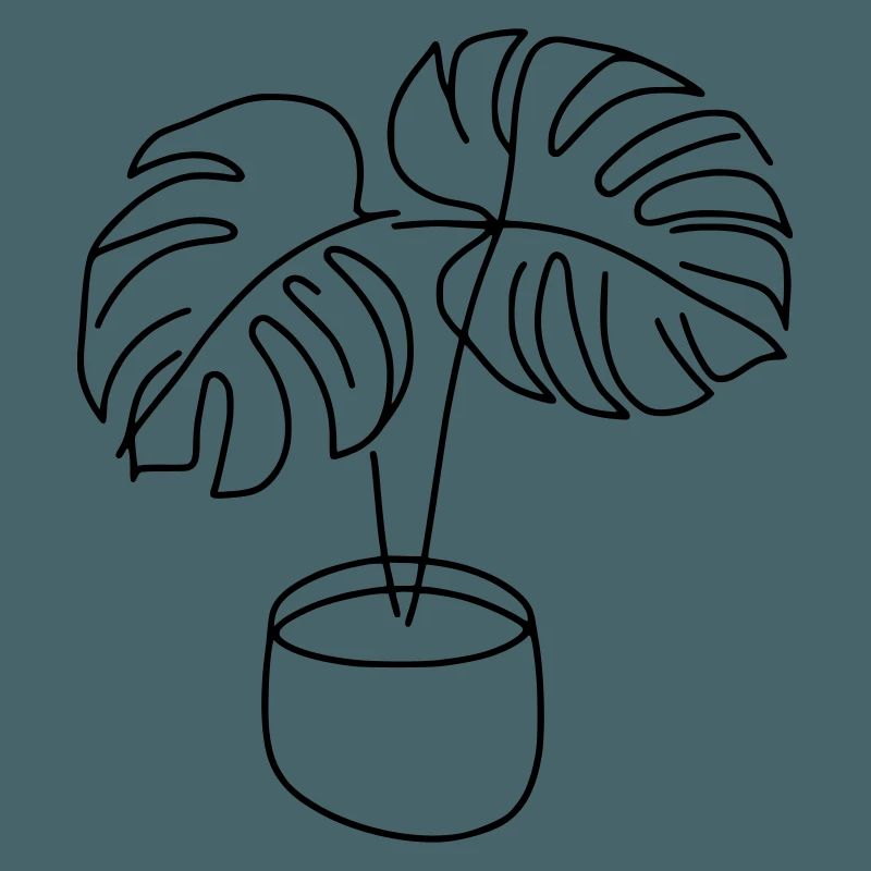 Monstera