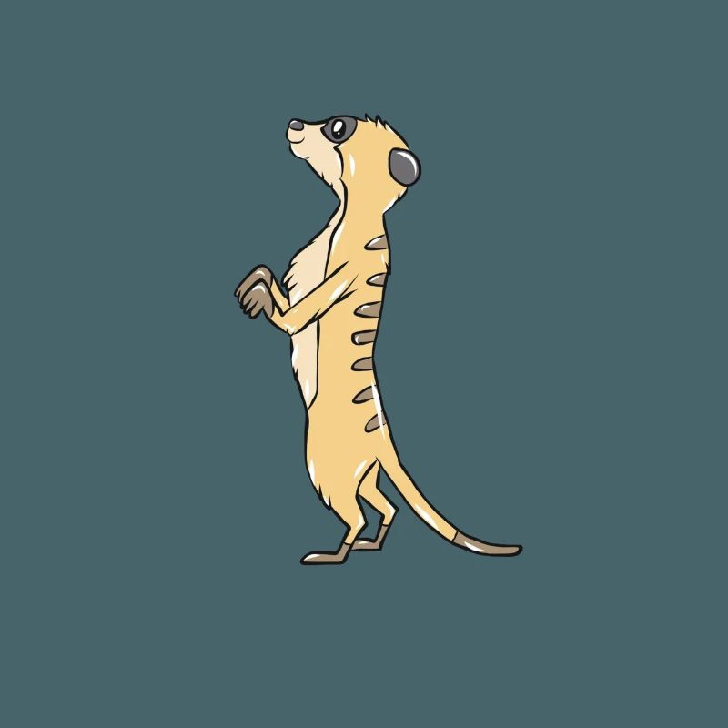 Erdmännchen
