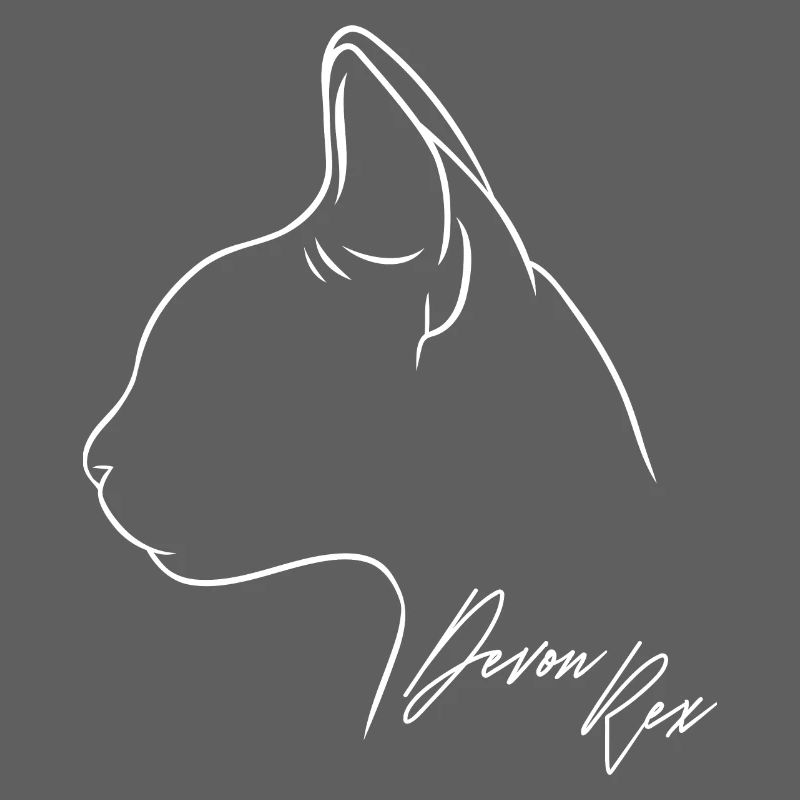 Devon Rex Profil Chat Chat Wilsigns