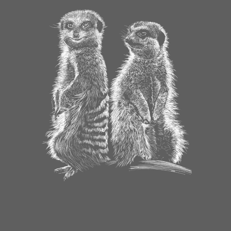 Erdmännchen