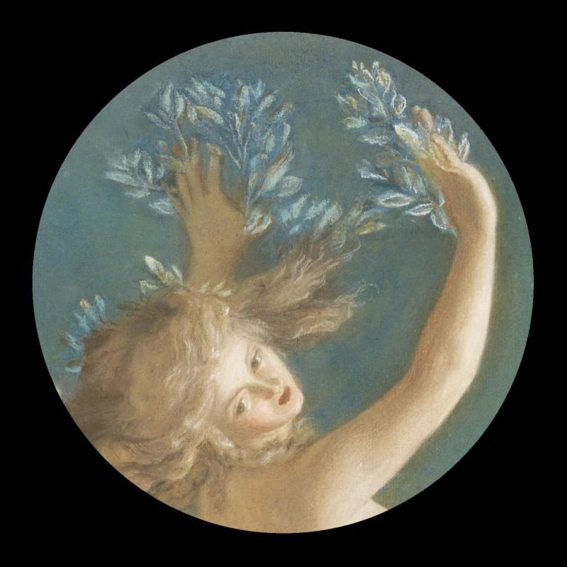 Daphne se transformant en un arbre de laurier