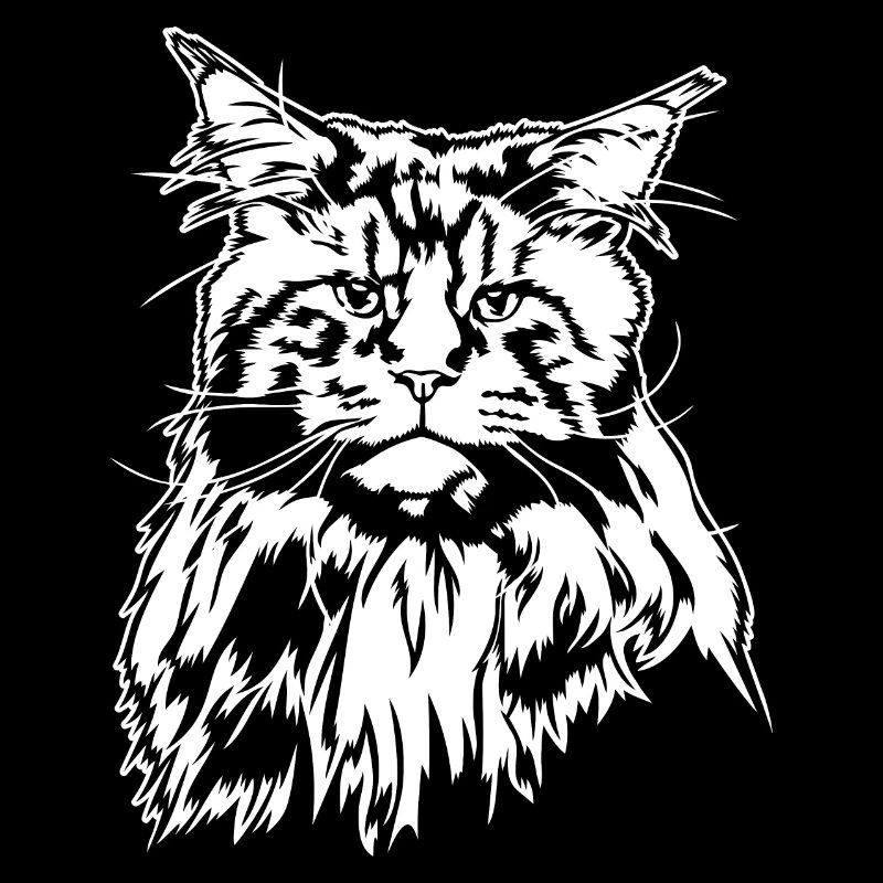Maine Coon Katze Katzen Rassekatze Wilsigns