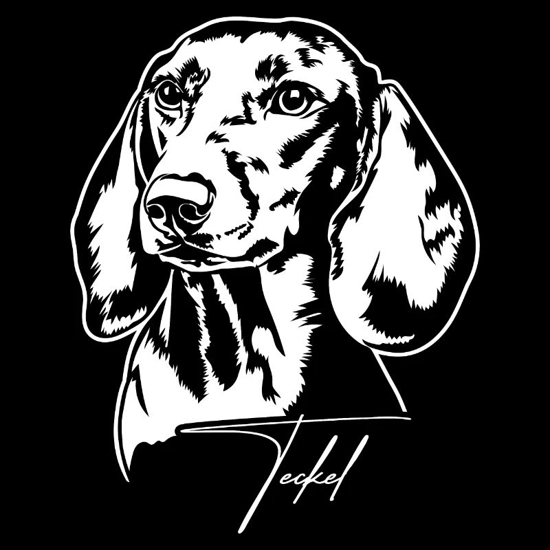 Teckel Portrait Chien Portrait Chiens Wilsigns