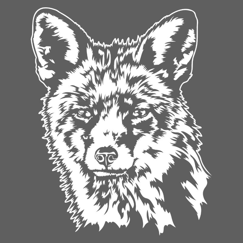 Fox Red Fox Wild Animal Forest Animal Wilsigns