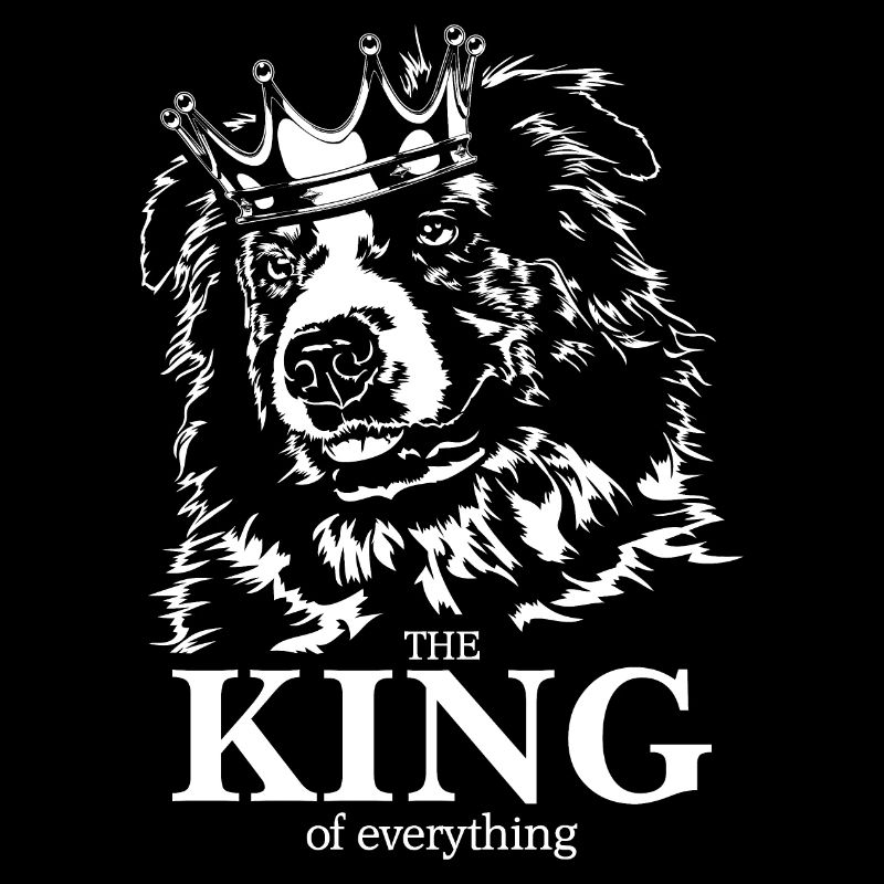 AUSTRALIAN SHEPHERD King of everything Wilsigns