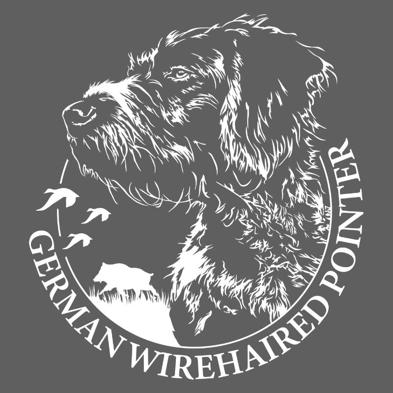 GERMAN WIREHAIRED POINTER Wilsigns Jagdhunde Hund