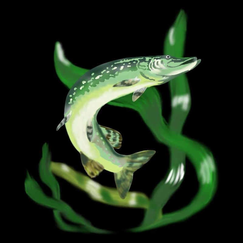Pike