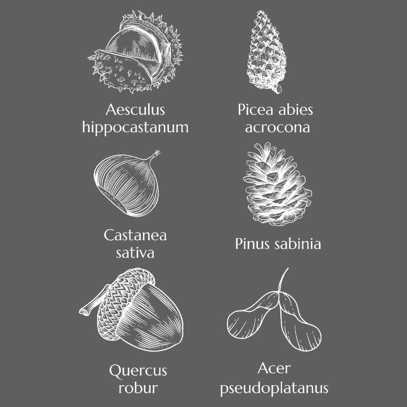 Nature's Bitter Sagittarius - Minimalist & Timeless