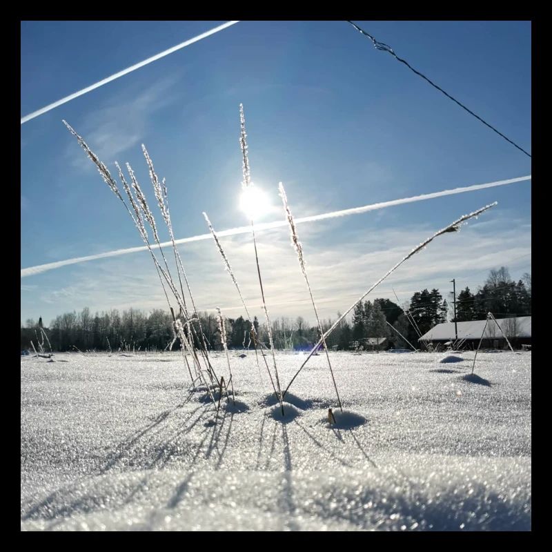 Das Leuchten der Sonne an einem verschneiten Morgen