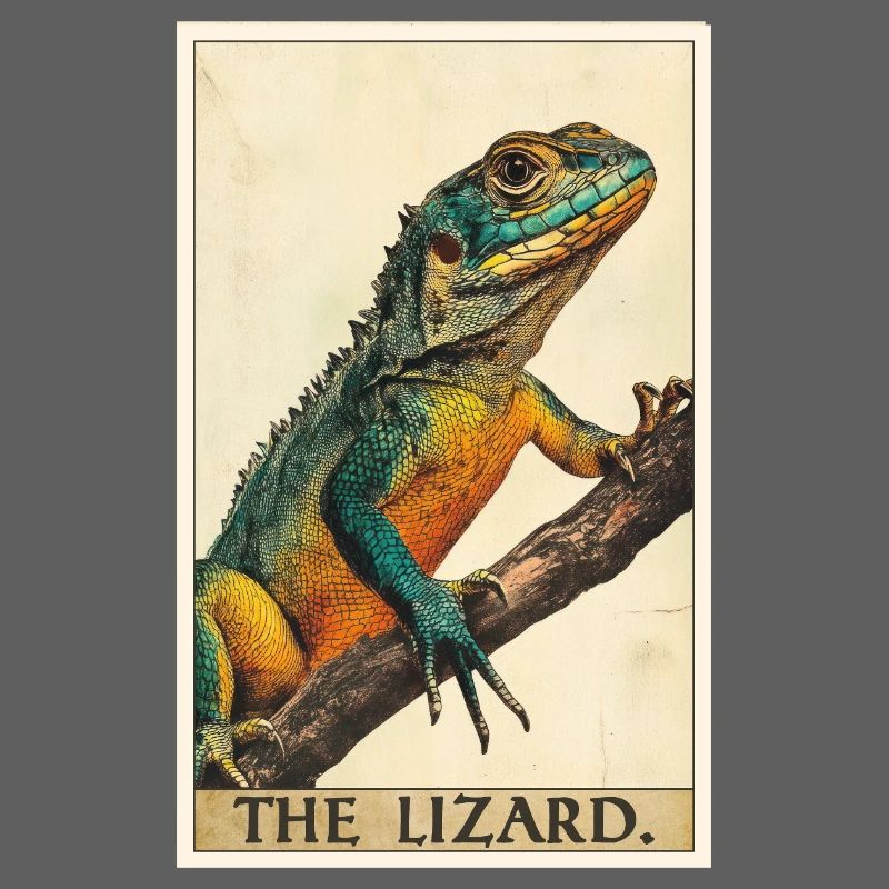 Lizards Lizard