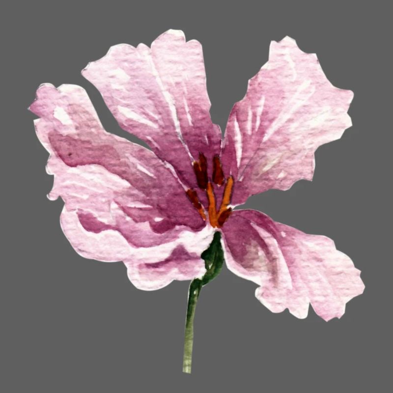 blume