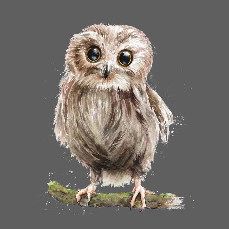 eule