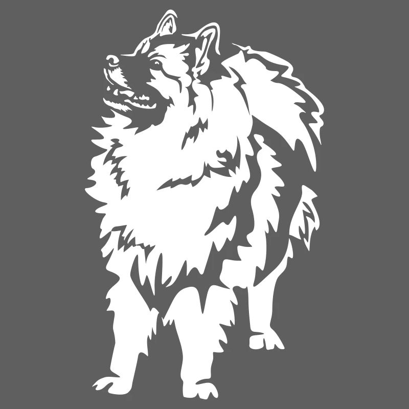 Wolfsspitz "Black Edition"