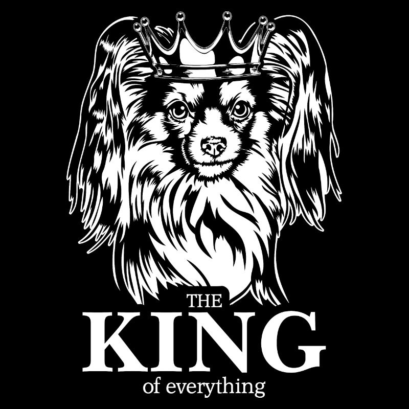 Papillon King of everything Hunde Hund Wilsigns