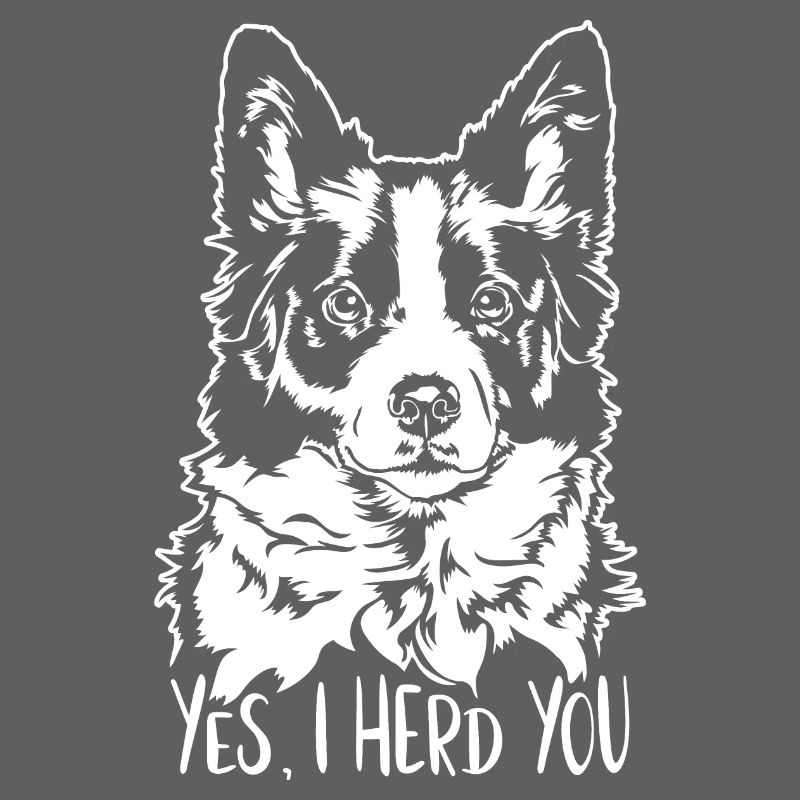 BORDER COLLIE I herd you Hunde Spruch Wilsigns