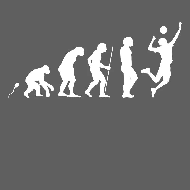 Evolution Volleyball 7