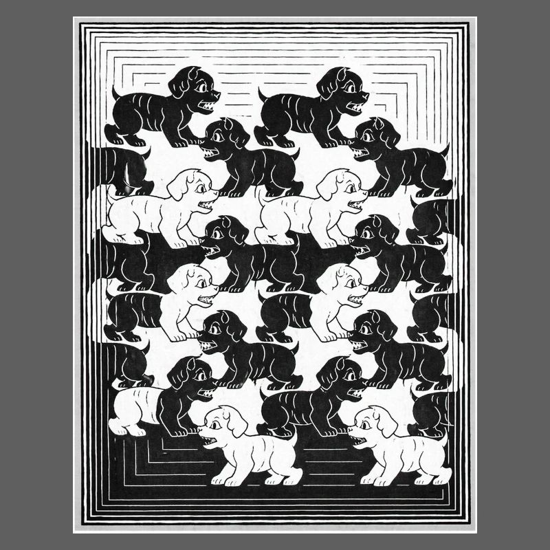 Dackelwelpen im monochromen Muster